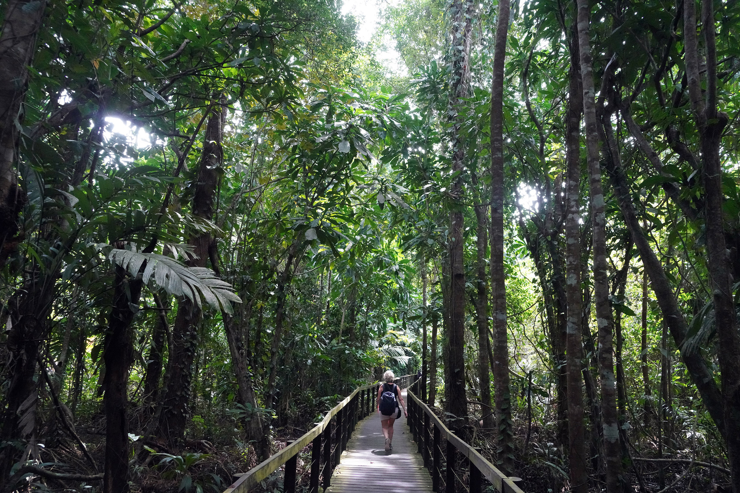 Costa Rica - Février 2025